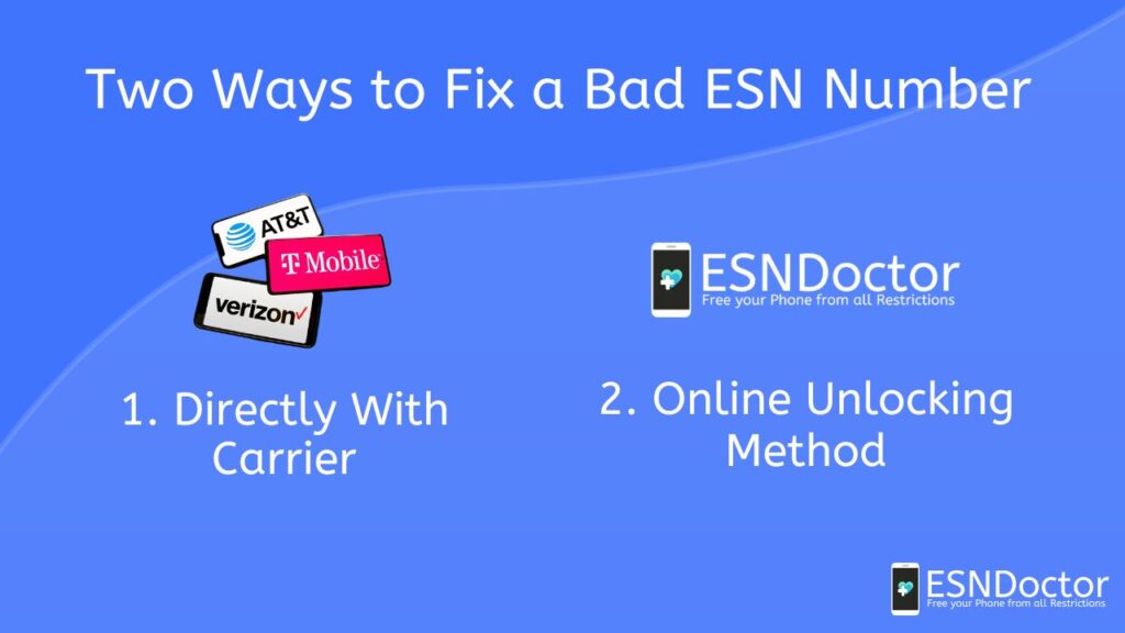 Two Ways to Fix a Bad ESN Number